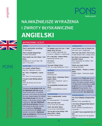 Najważniejsze wyrażenia i zwroty błyskawiczne zwroty Angielski [KSIĄŻKA]