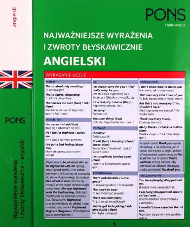 Najważniejsze wyrażenia i zwroty błyskawiczne zwroty Angielski [KSIĄŻKA]