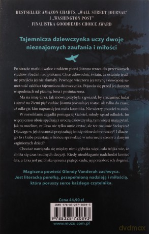Tam, gdzie las spotyka się z niebem - Glendy Vanderah [KSIĄŻKA]