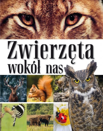 Zwierzęta wokół nas. Encyklopedia dla dzieci [KSIĄŻKA]