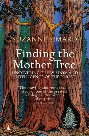 Finding the Mother Tree - Suzanne Simard [KSIĄŻKA]