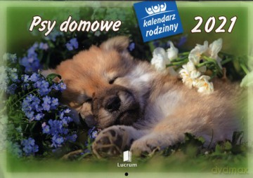 Kalendarz 2021 WL08 Psy domowe [KALENDARZ]