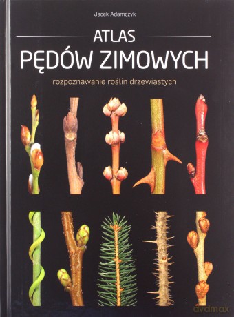 Atlas pędów zimowych - Jacek Adamczyk [KSIĄŻKA]