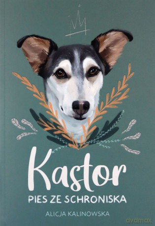 Kastor. Pies ze schroniska - Alicja Kalinowska [KSIĄŻKA]