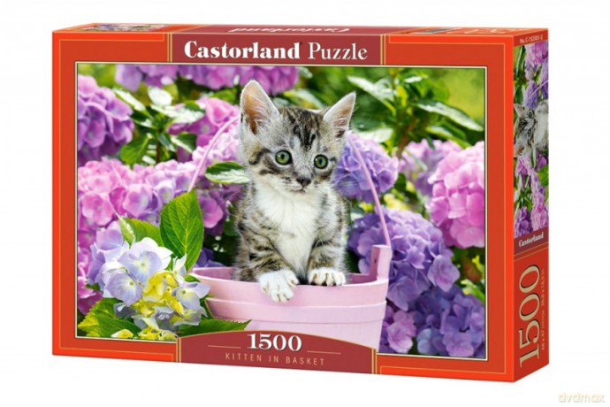 CASTORLAND 1500 el. Kotek w koszyku [PUZZLE]