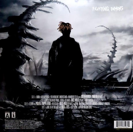 Juice Wrld: Fighting Demons [2xWinyl]