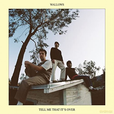 Wallows: Tell Me That It's Over (Blue) [Winyl]