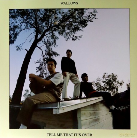 Wallows: Tell Me That It's Over (Blue) [Winyl]