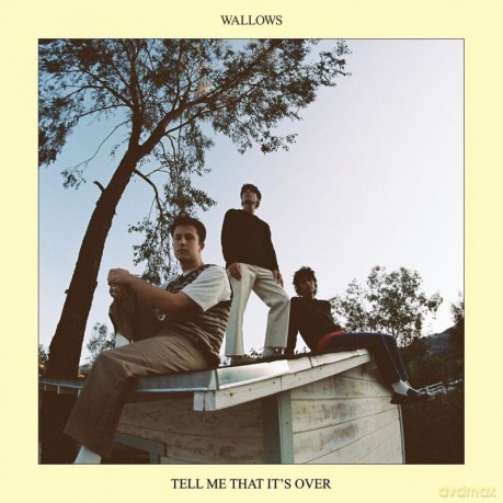 Wallows: Tell Me That It's Over [CD]