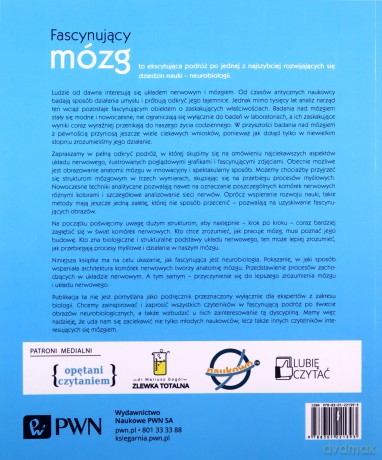 Fascynujący mózg [KSIĄŻKA]