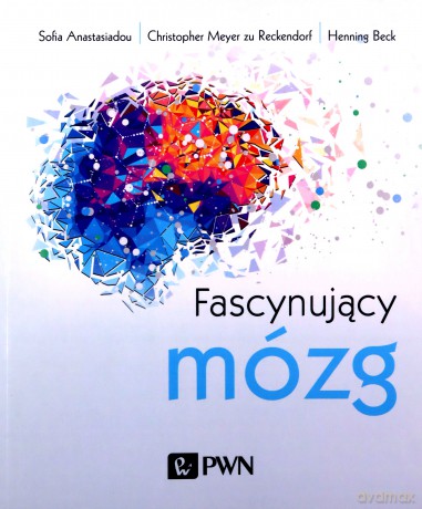 Fascynujący mózg [KSIĄŻKA]