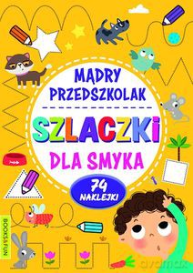 Mądry Przedszkolak. Szlaczki dla smyka [KSIĄŻKA]