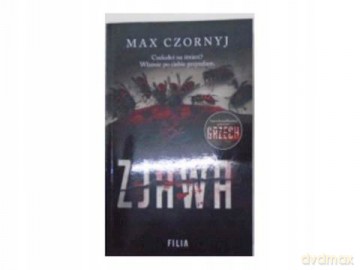 Zjawa (pocket) - Max Czornyj [KSIĄŻKA]