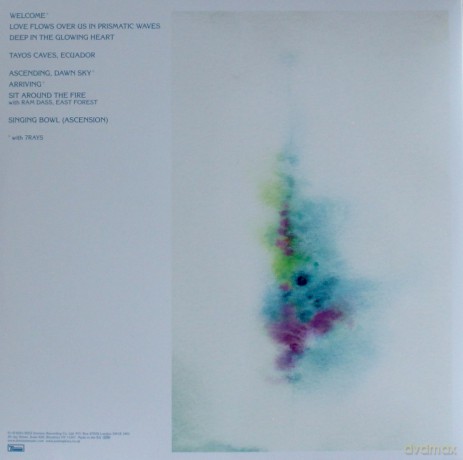 Jon Hopkins: Music For Psychedelic Therapy (Limited) [Winyl]