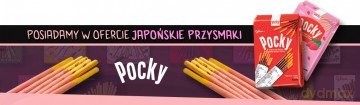 Księga Vanitasa (Tom 9) - Jun Mochizuki [KOMIKS]