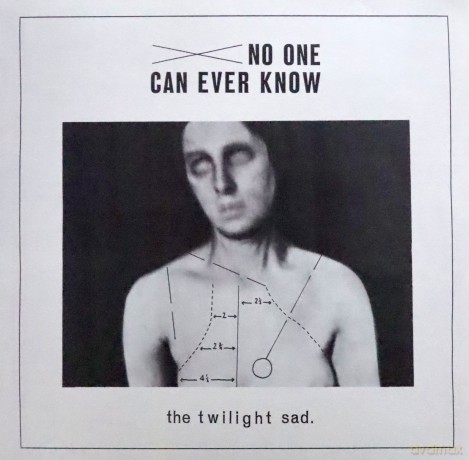 The Twilight Sad: No One Can Ever Know [2xWinyl]