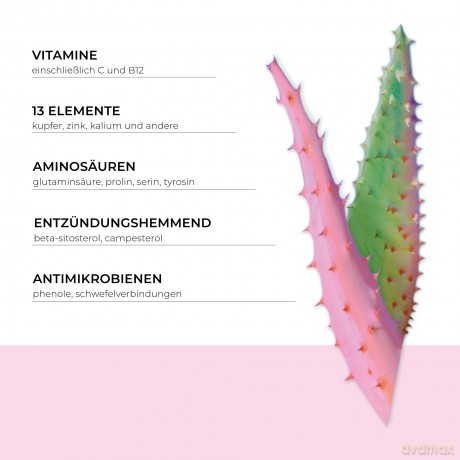 AA Pink Aloes Intensywnie Nawilżający Krem-żel na dzień do każdego rodzaju cery 50 ml