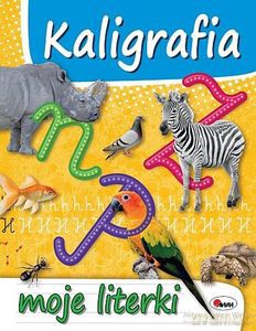 Kaligrafia moje literki [KSIĄŻKA]