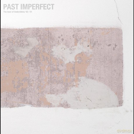 Tindersticks: Past Imperfect: The best... [Winyl]