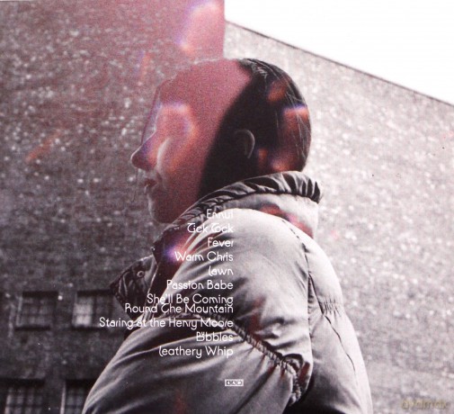 Aldous Harding: Warm Chris [CD]