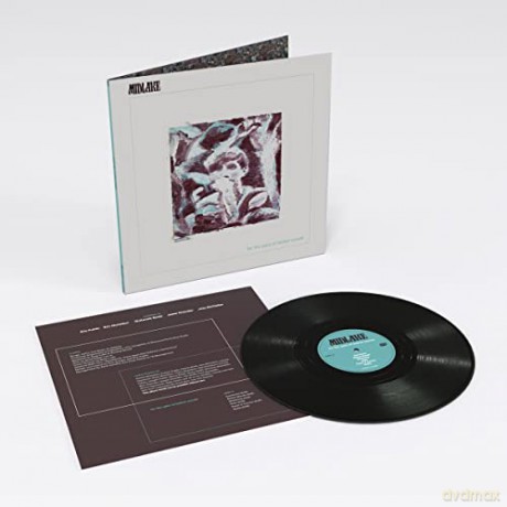 Midlake: For The Sake Of Bethel Woods [Winyl]