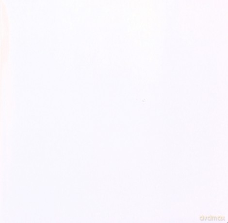 Suicide: Surrender [CD]