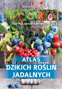 Atlas dzikich roślin jadalnych - Monika Fijołek [KSIĄŻKA]