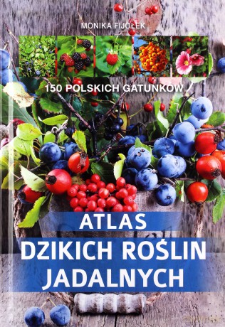 Atlas dzikich roślin jadalnych - Monika Fijołek [KSIĄŻKA]