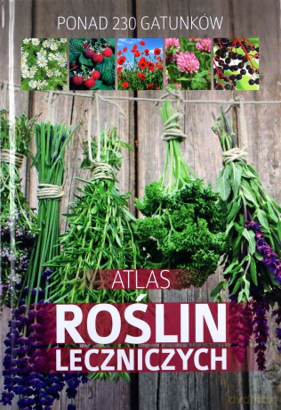 Atlas roślin leczniczych - Małgorzata Mederska [KSIĄŻKA]