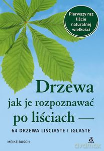Drzewa - jak je rozpoznawać po liściach - Meike Bosch [KSIĄŻKA]