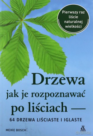 Drzewa - jak je rozpoznawać po liściach - Meike Bosch [KSIĄŻKA]