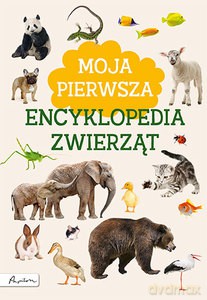 Moja pierwsza encyklopedia zwierząt - Marta Kotecka [KSIĄŻKA]