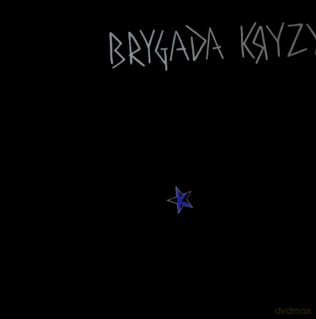 Brygada Kryzys: Brygada Kryzys (na 40-lecie) świecący [Winyl]