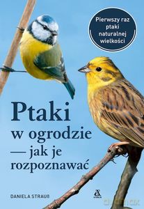 Ptaki w ogrodzie - jak je rozpoznawać - Daniela Strauss [KSIĄŻKA]