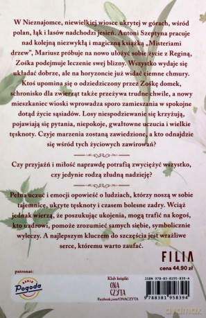 Uzdrowicielka - Agnieszka Krawczyk [KSIĄŻKA]