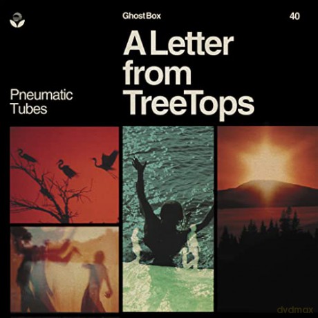 Pneumatic Tubes: A Letter From Treetops [Winyl]