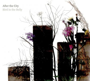 Bird In The Belly: After The City [CD]