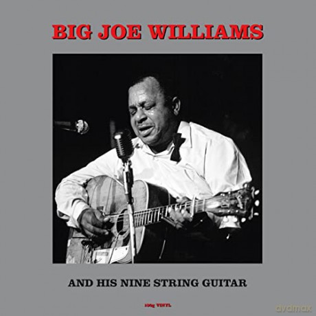 Big Joe Williams: And His Nine String Guitar [Winyl]
