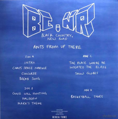 New Road Black Country: Ants From Up There (Blue Marbled) (Indies) [2xWinyl]
