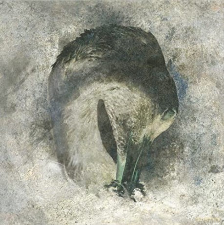 Suma: Ashes 20th Anniversary [CD]
