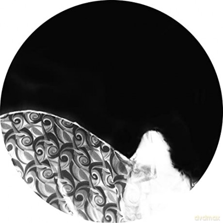 Ashtray Navigations: Before You Play This [Winyl]