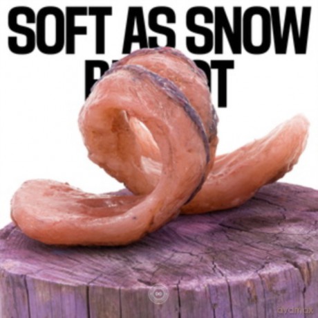 Soft As Snow: Bit Rot [Winyl]