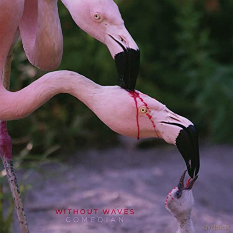 Without Waves: Comedian [CD]