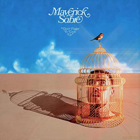 Maverick Sabre: Dont Forget To Look Up [CD]