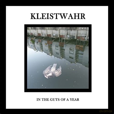 Kleistwahr: In The Guts Of A Year [CD]