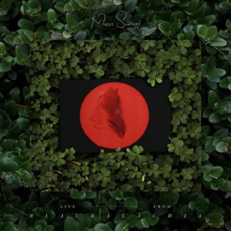 Moses Sumney: Live From Blackalachia (Clear) [2xWinyl]