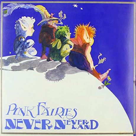 Pink Fairies: Never Never Land [Winyl]