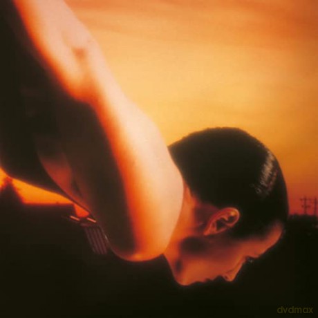Porcupine Tree: On The Sunday Of Life [2xWinyl]