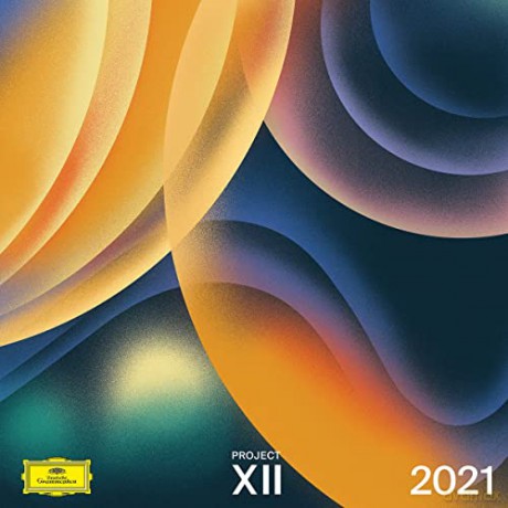 Project XII 2021 [Winyl]