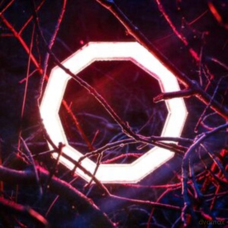 Hybrid Minds: Reflections [Winyl]